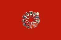 新丰回收红酒